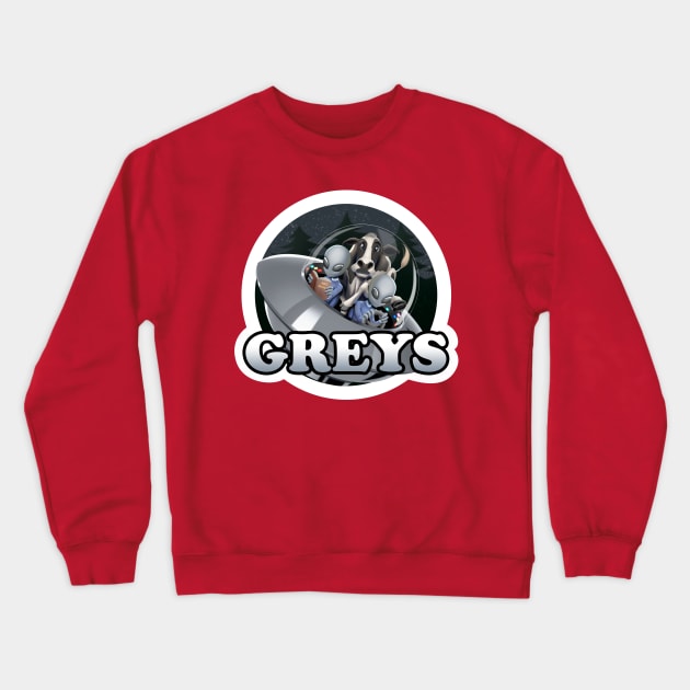 Greys Crewneck Sweatshirt by DrCuervos